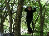 27 the really tall vines.JPG